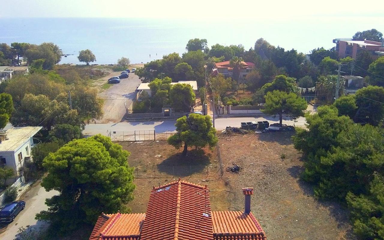 Augoustinos - Sea Side Luxury Apartments Artémida Eksteriør bilde
